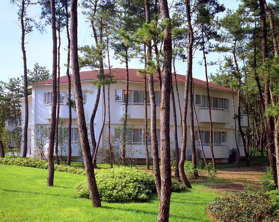 Cottage Himuka Міядзакі Номер фото